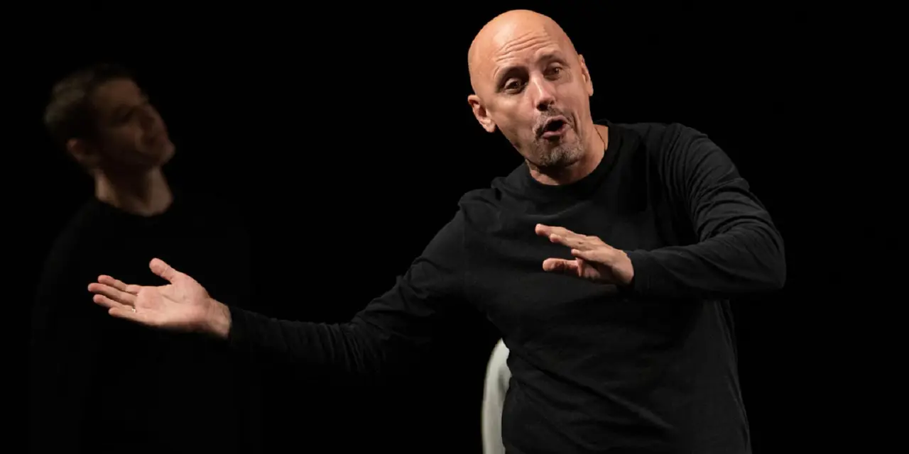 Пролетный гусь